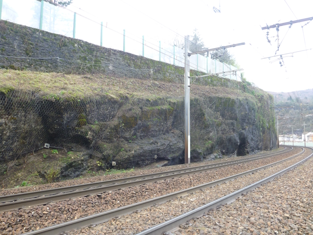 Travaux en hauteur TAF69 cordiste Débroussaillage, défrichage, entretien de filet de protection SNCF