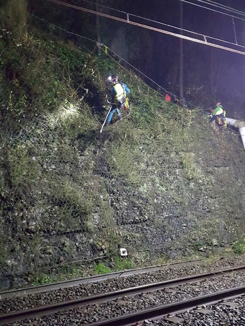 Travaux en hauteur TAF69 cordiste Débroussaillage, défrichage, entretien de filet de protection SNCF