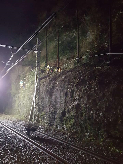 Travaux en hauteur TAF69 cordiste Débroussaillage, défrichage, entretien de filet de protection SNCF